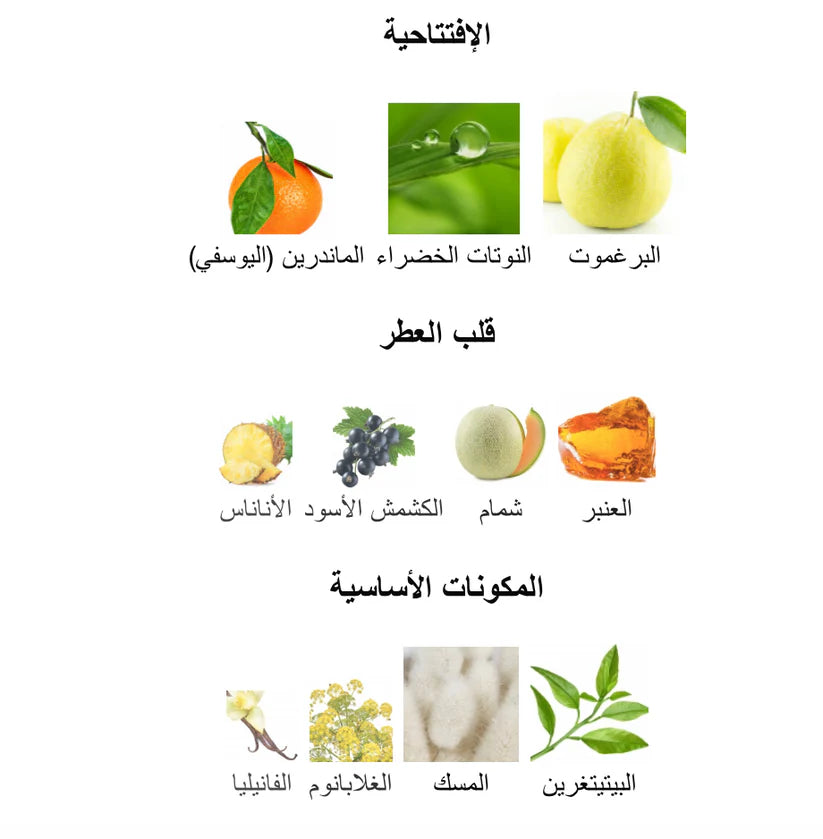 رائحة الحمضيات ١٠٠ مل اكوا دبي